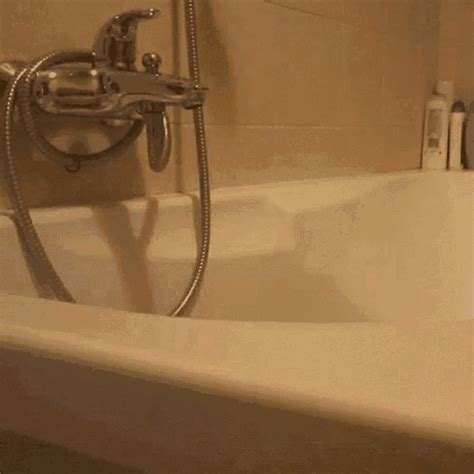 bathtub porn gif|Bathtub Porn GIFs 